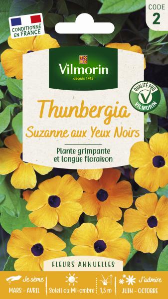 Fleurs - Thunbergia Alata Suzanne aux Yeux Noirs - PACKAGING_RECTO